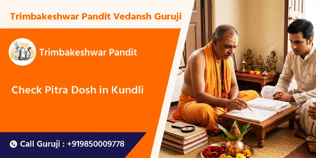 Check Pitra Dosh in Kundli